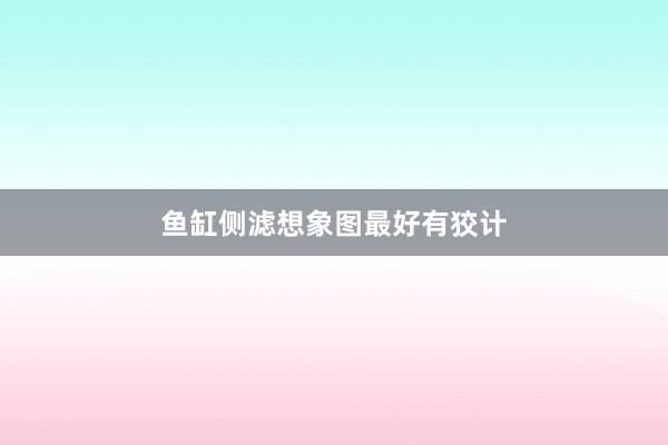 鱼缸侧滤想象图最好有狡计