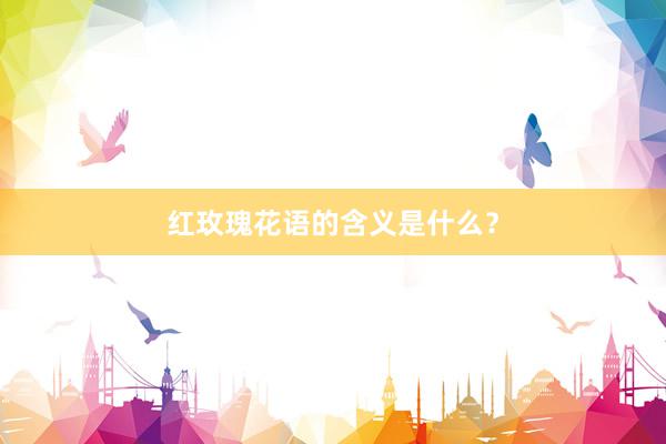 红玫瑰花语的含义是什么？