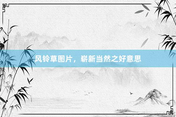风铃草图片，崭新当然之好意思