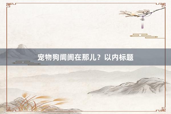 宠物狗阛阓在那儿？以内标题
