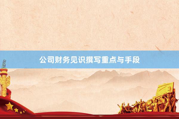公司财务见识撰写重点与手段